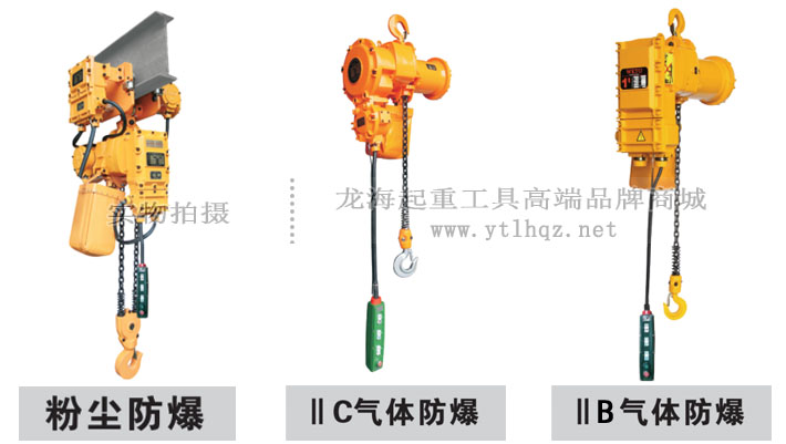 粉塵\氣體防爆電動葫蘆示意圖