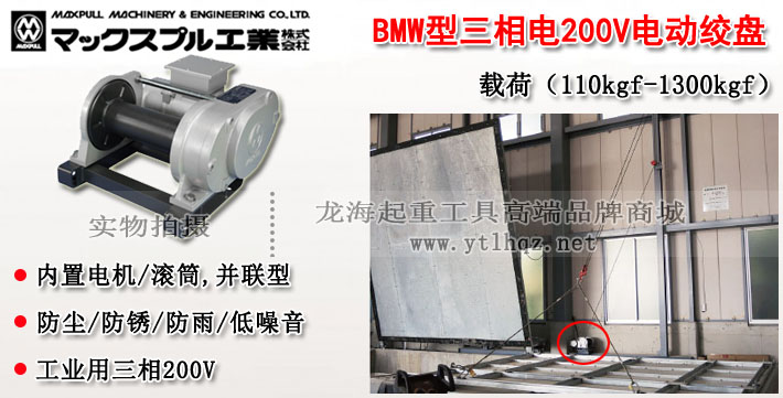 BMW型MAXPULL電動(dòng)絞盤圖片