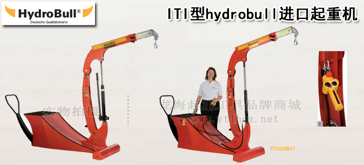 ITI型hydrobull進(jìn)口起重機(jī)